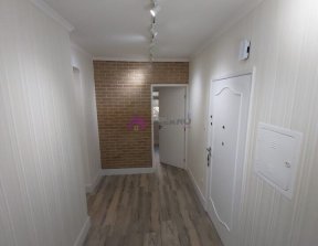 PP1860003.jpg