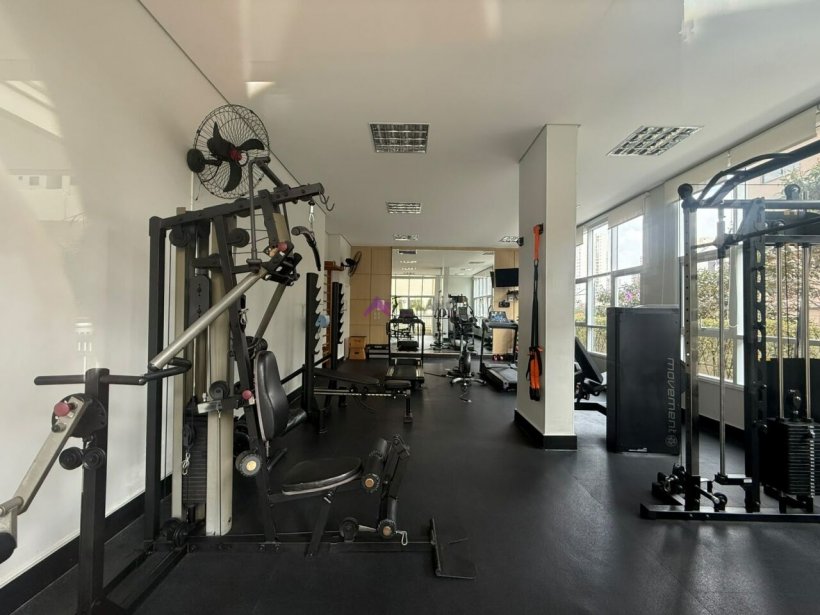 PP1571025.jpg