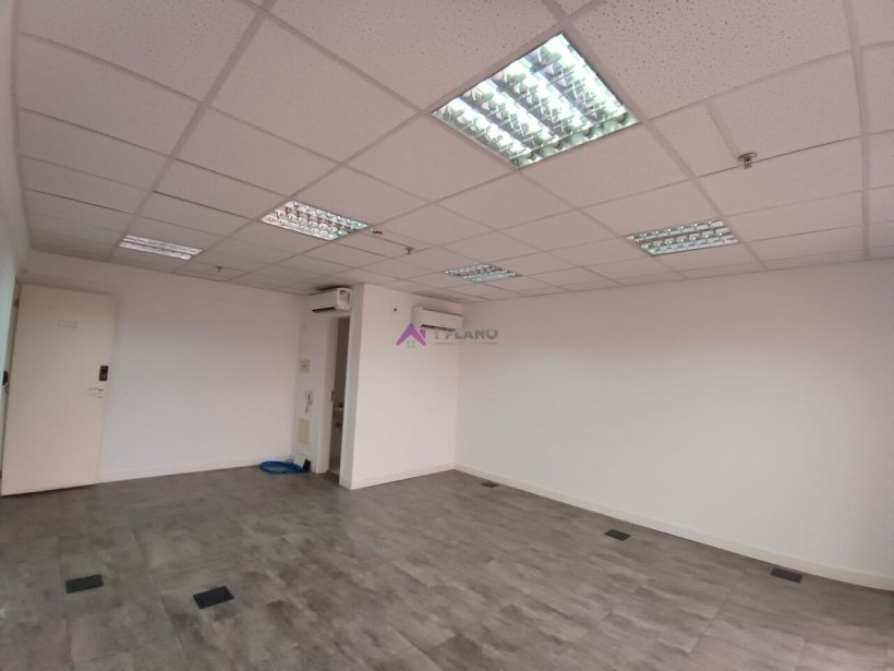 PP1220006.jpg