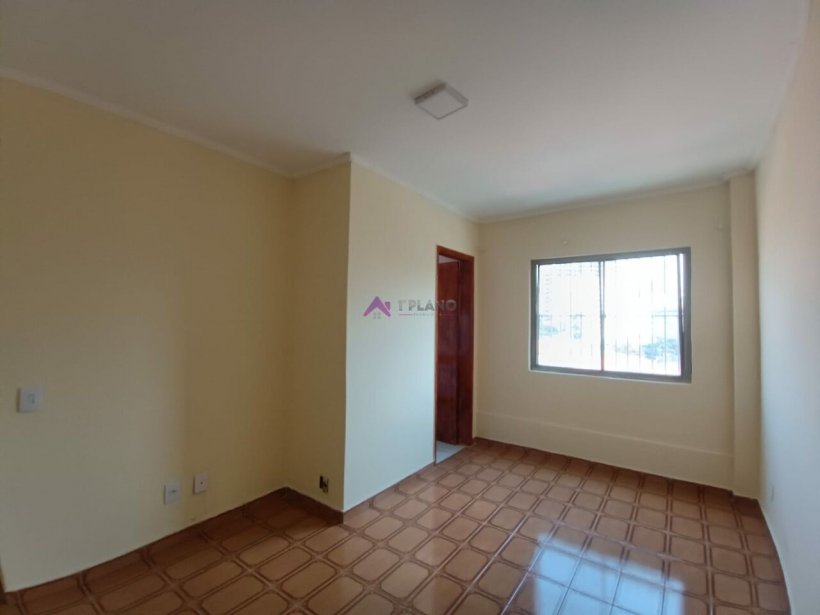 PP1130007.jpg