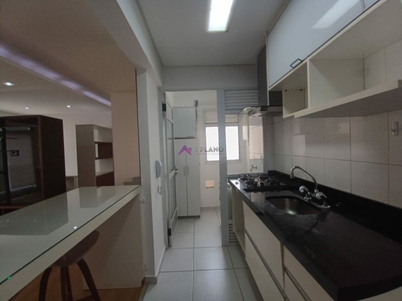 PP1257011.jpg