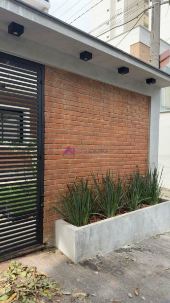 PP1525053.jpg