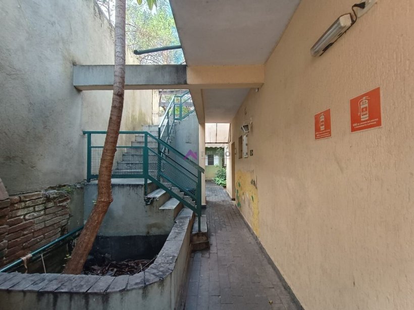 PP1748024.jpg