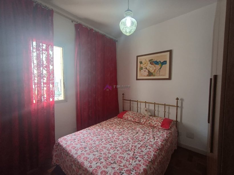 PP1798016.jpg