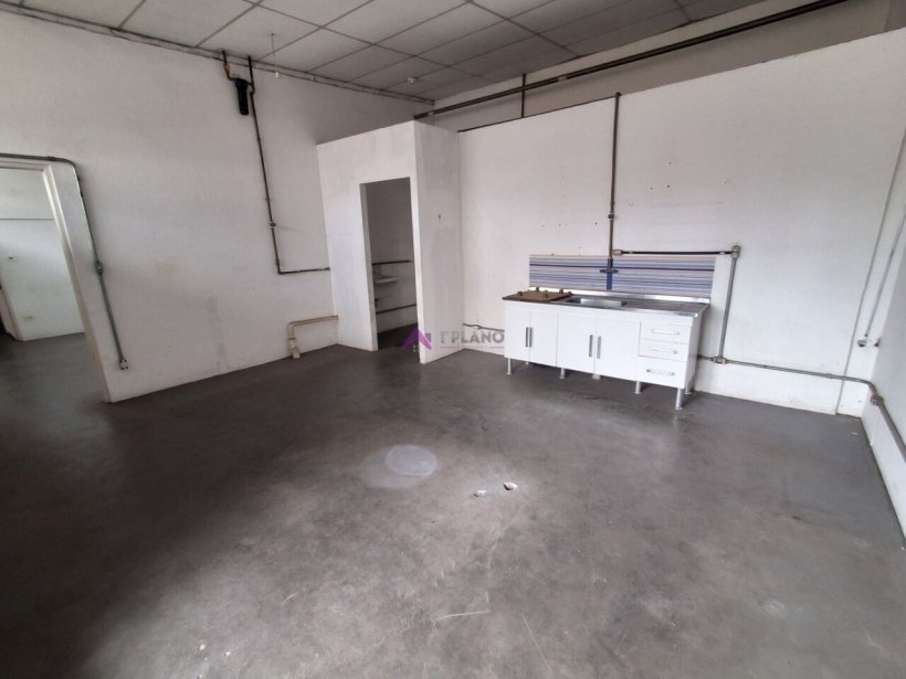 PP1825003.jpg