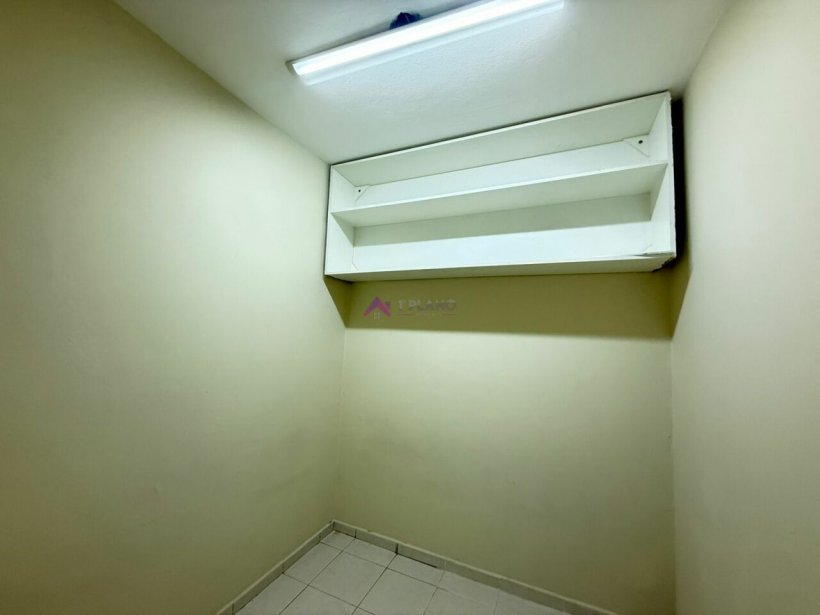 PP1537009.jpg