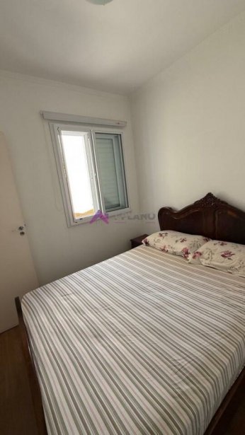 PP1565012.jpg