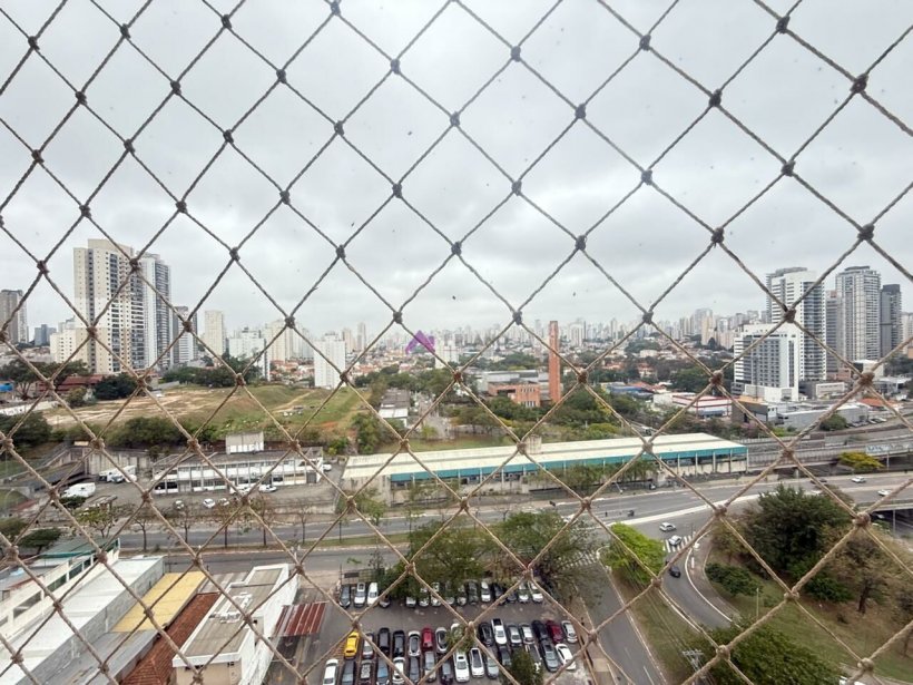 PP1275013.jpg