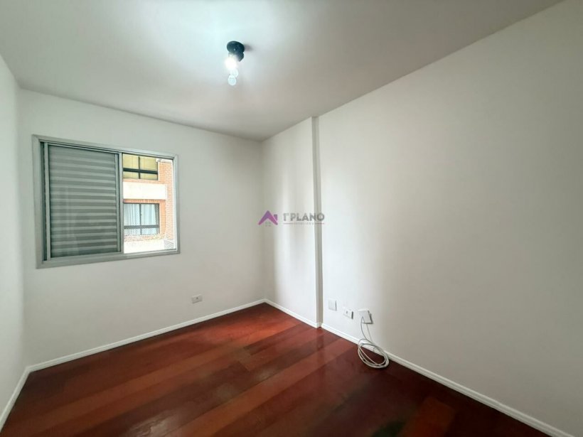 PP1543015.jpg