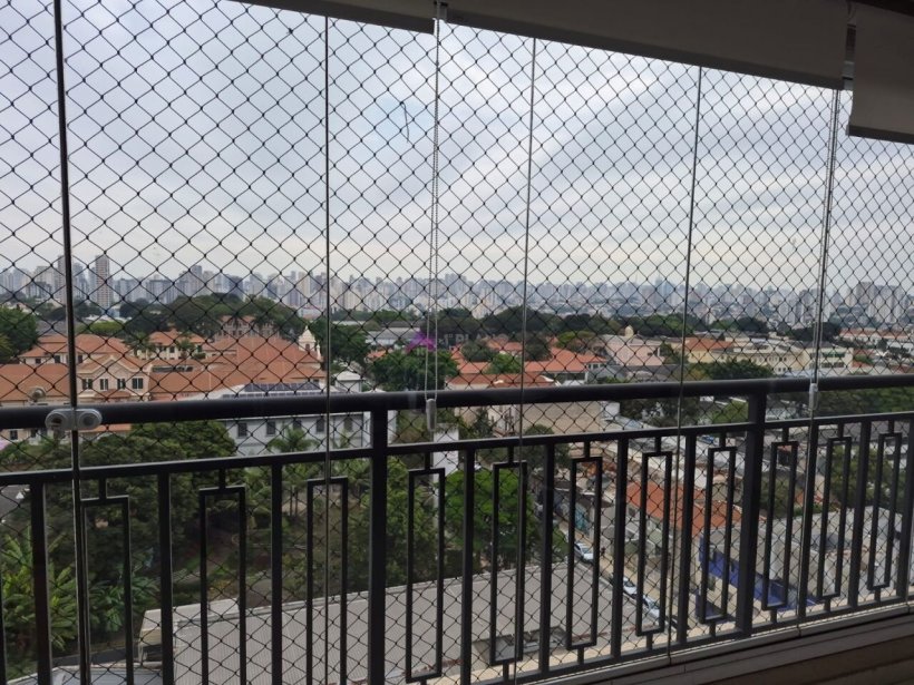 PP1854008.jpg