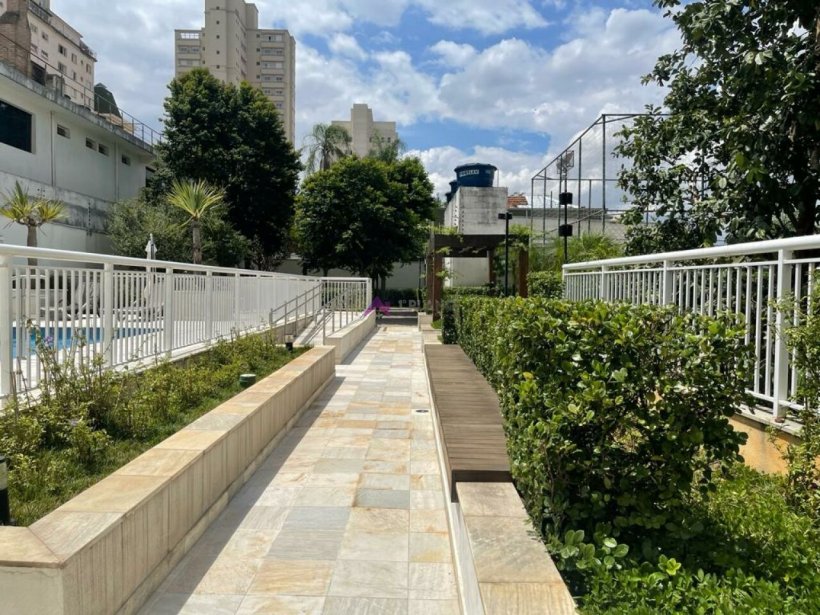 PP1219016.jpg