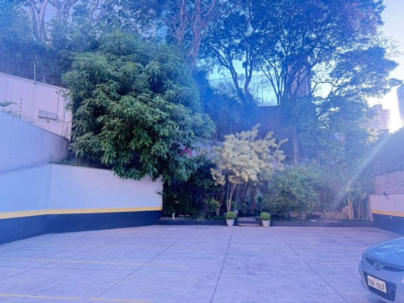 PP1733006.jpg