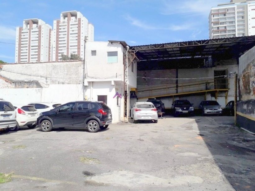 PP1765006.jpg