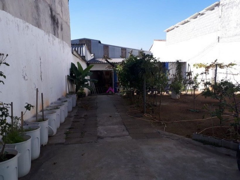 PP1687017.jpg