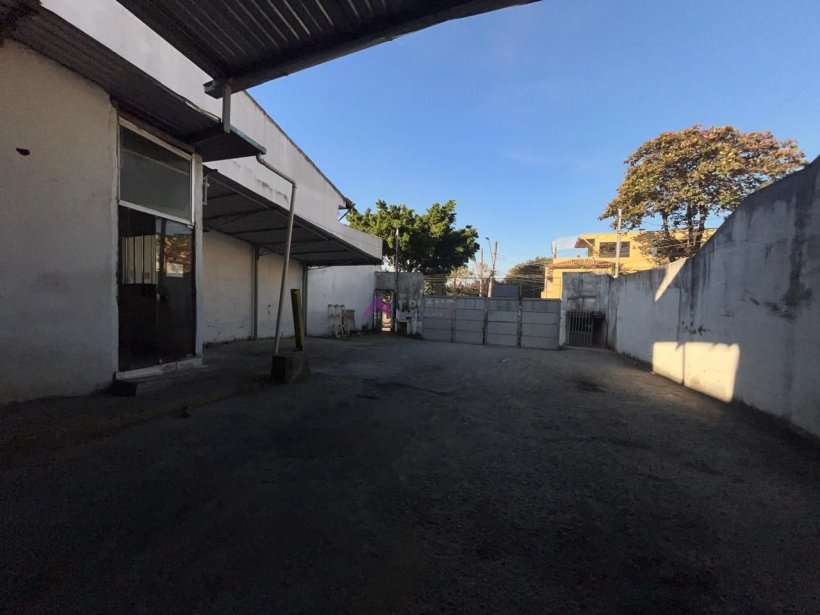 PP1727009.jpg