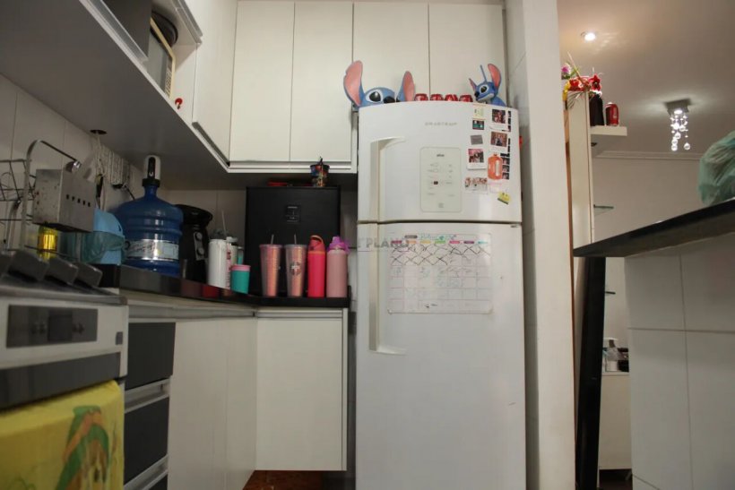 PP1708019.jpg