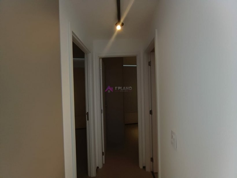 PP1548017.jpg