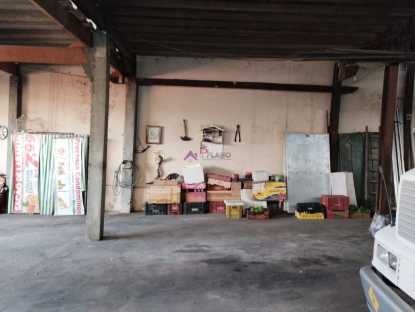 PP1703010.jpg