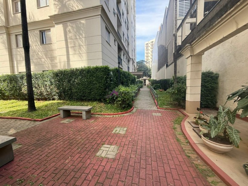 PP1266018.jpg