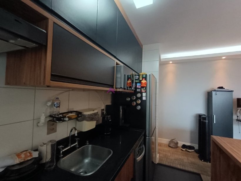 PP1796006.jpg