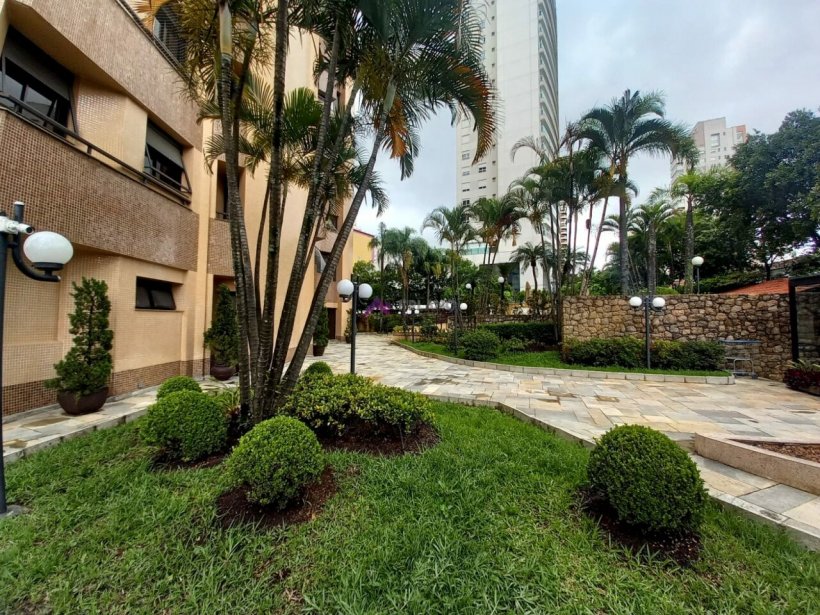 PP728024.jpg