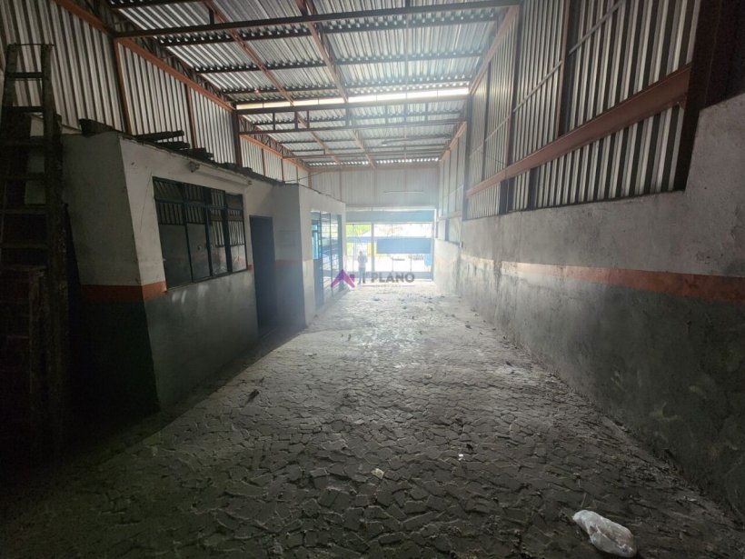 PP1722013.jpg