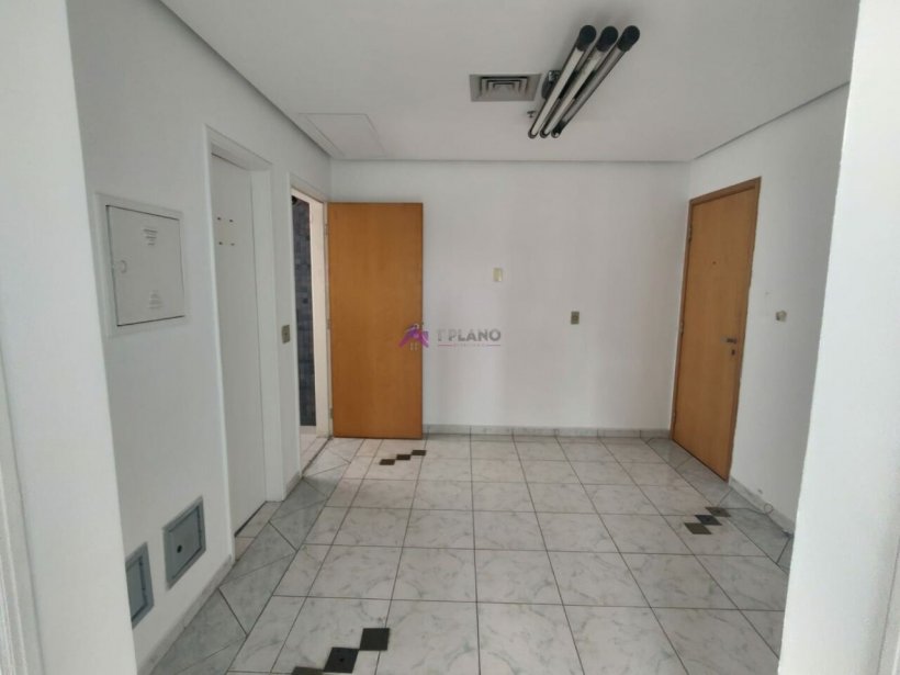 PP1593010.jpg