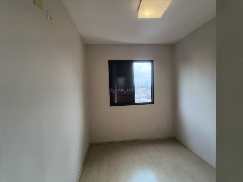 PP236038.jpg