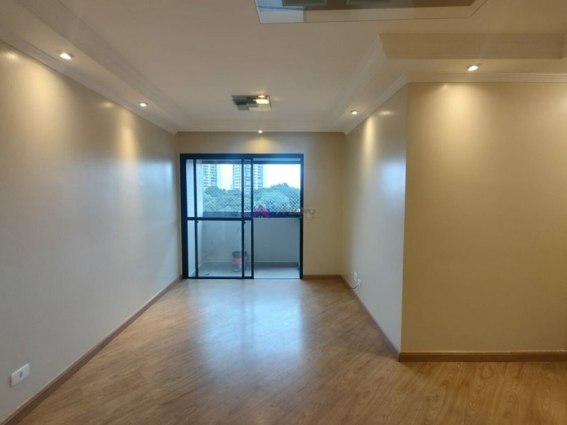 PP608023.jpg