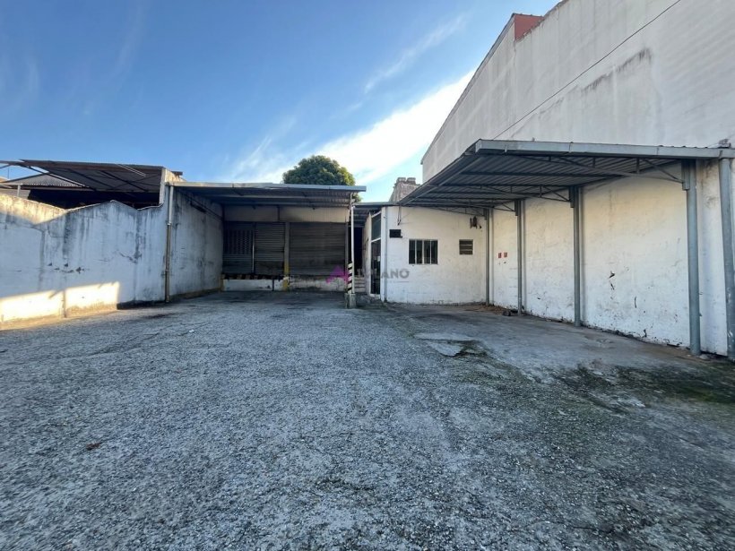 PP1727014.jpg
