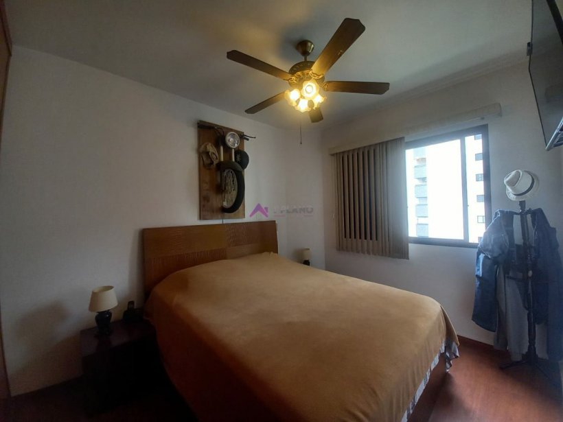 PP805003.jpg