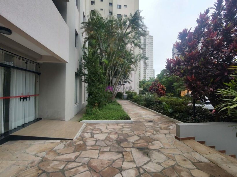 PP1551043.jpg