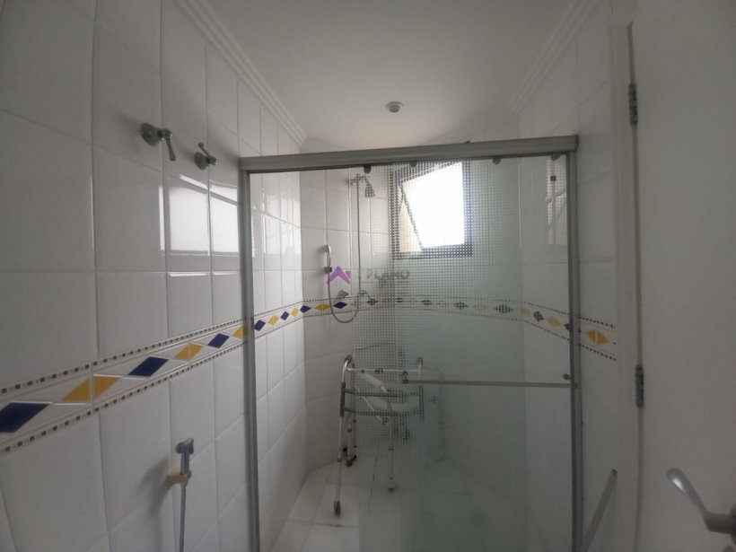 PP728019.jpg