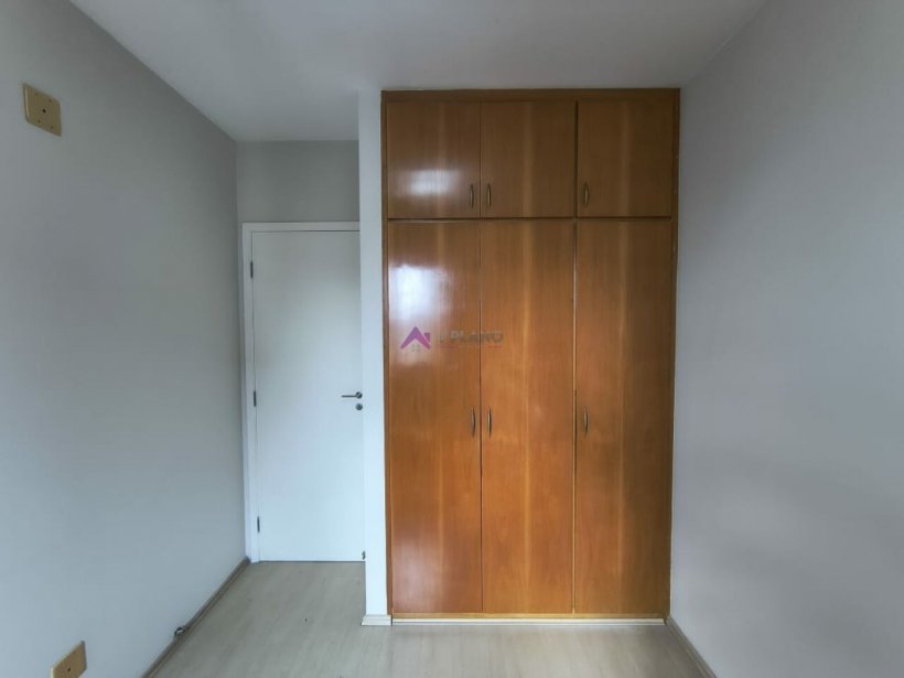 PP236036.jpg