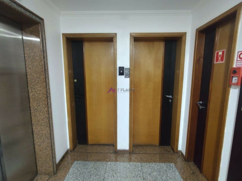 PP1592010.jpg