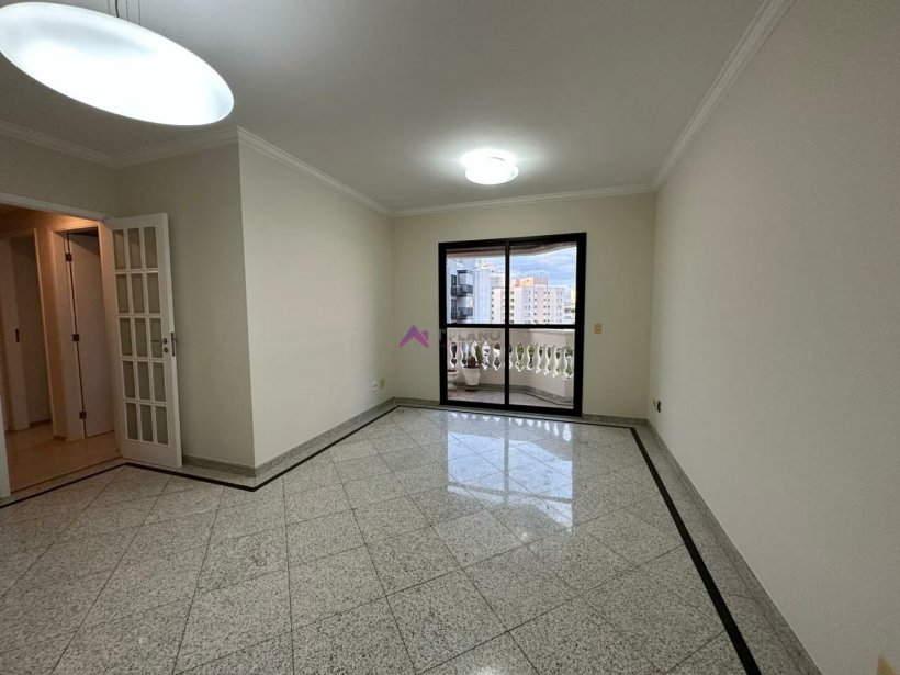 PP236034.jpg