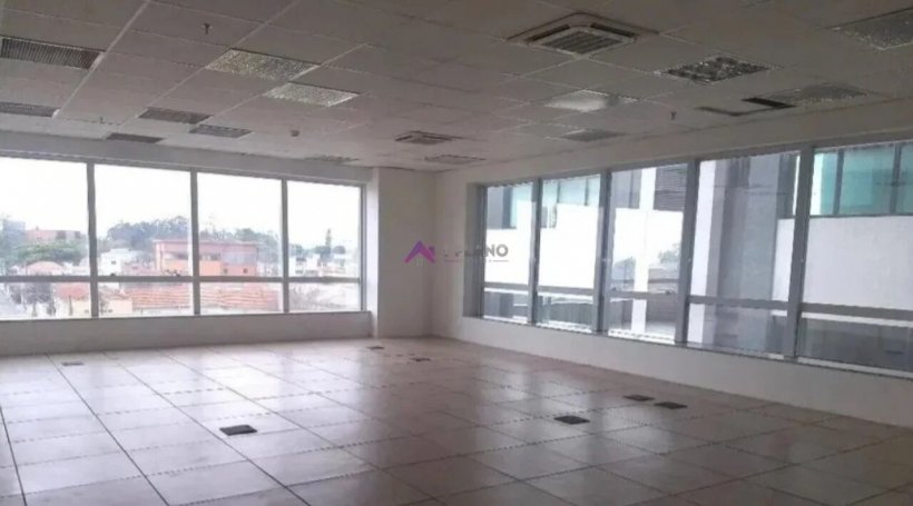 PP1810002.jpg