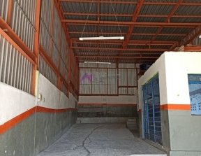 PP1722011.jpg