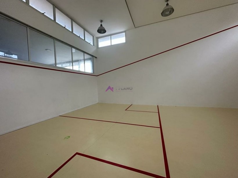 PP348027.jpg