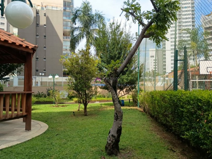 PP1102029.jpg