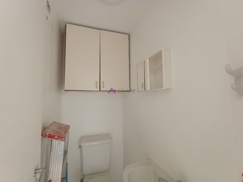 PP1316032.jpg