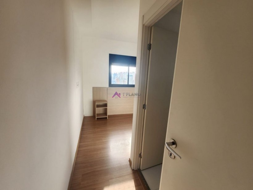 PP1648006.jpg
