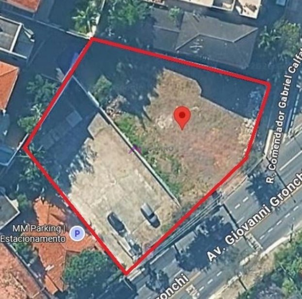 PP1762005.jpg