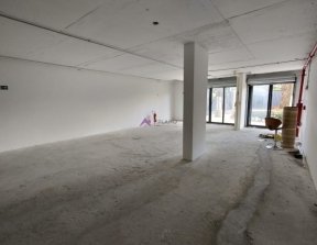 PP1639005.jpg