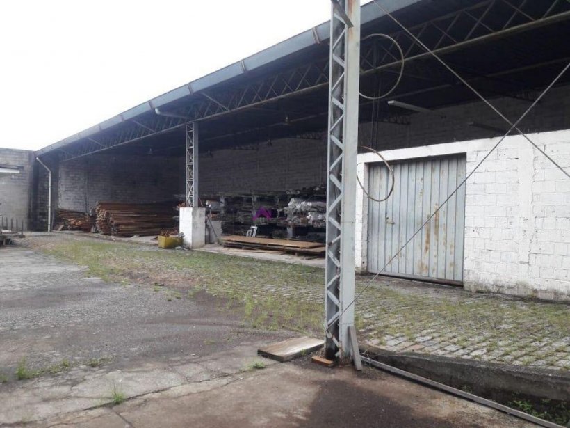 PP1655004.jpg