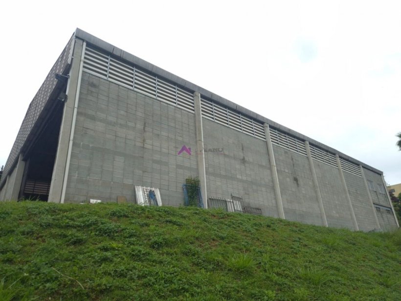 PP1736005.jpg