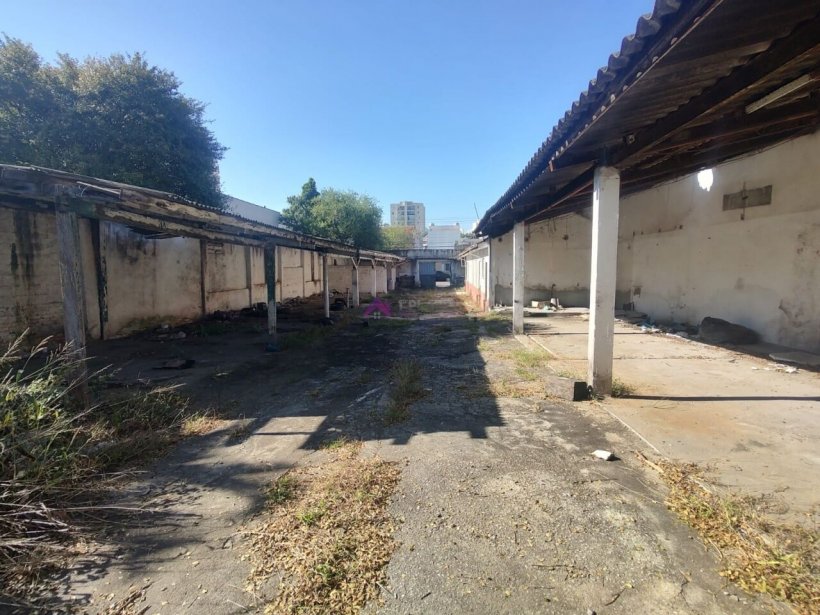 PP1712003.jpg