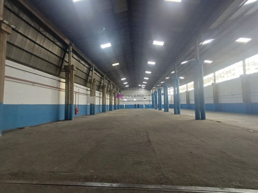 PP1658020.jpg
