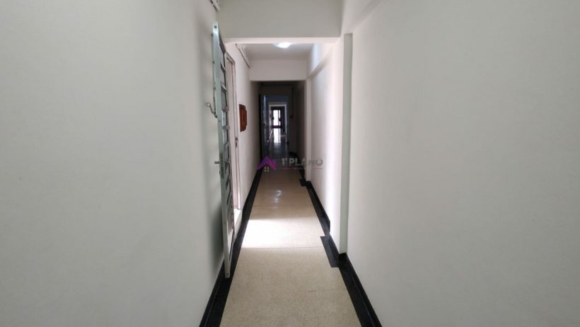 PP499019.jpg