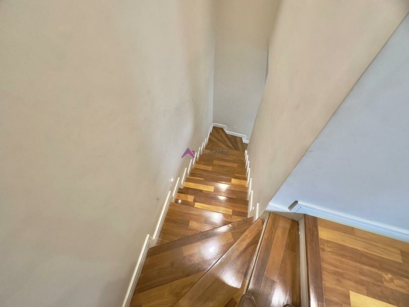 PP960023.jpg